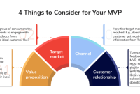 MVP Software: What, Why, and How